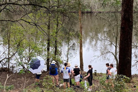Fishermans Paradise Eco-walk - Tourism Noosa 2
