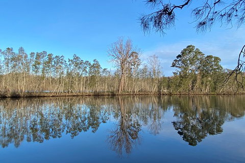 Fishermans Paradise Eco-walk - Tourism Noosa 4