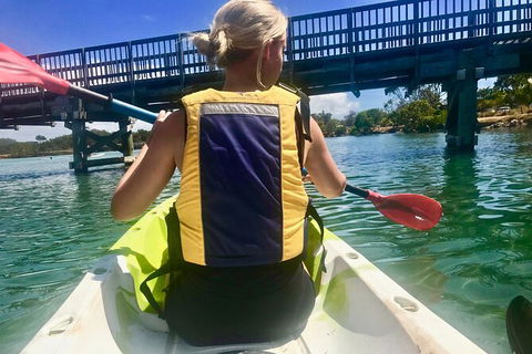 2-Hour Rental Kayak Double In Brunswick River - Tourism Noosa 3
