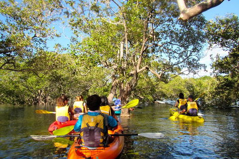 2-Hour Rental Kayak Double In Brunswick River - Tourism Noosa 2