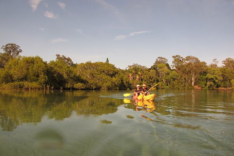 2-Hour Rental Kayak Double In Brunswick River - Tourism Noosa 5