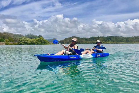 2-Hour Rental Kayak Double In Brunswick River - Tourism Noosa 0