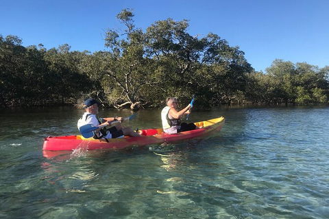 2-Hour Rental Kayak Double In Brunswick River - Tourism Noosa 4