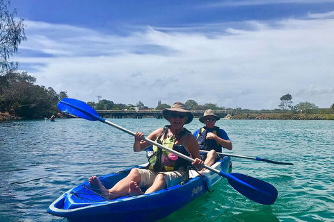 2-Hour Rental Kayak Double In Brunswick River - Tourism Noosa 1