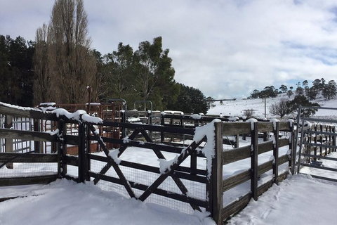 Paddock To Plate Farm Tour And Tasting - Tourism Noosa 11
