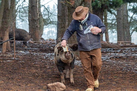 Paddock To Plate Farm Tour And Tasting - Tourism Noosa 5