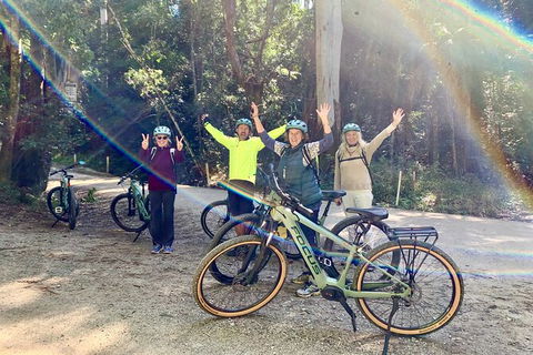 Guided E Bike Tour - Unicorn Falls & National Park - Tourism Noosa 3