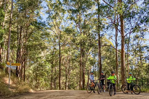 Guided E Bike Tour - Unicorn Falls & National Park - Tourism Noosa 10