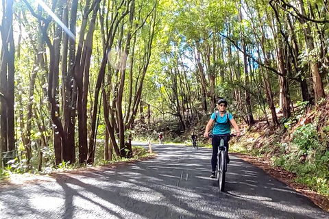 Guided E Bike Tour - Unicorn Falls & National Park - Tourism Noosa 16