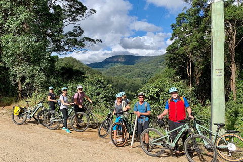 Guided E Bike Tour - Unicorn Falls & National Park - Tourism Noosa 13