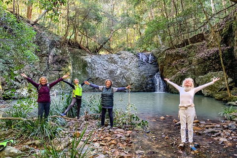 Guided E Bike Tour - Unicorn Falls & National Park - Tourism Noosa 8