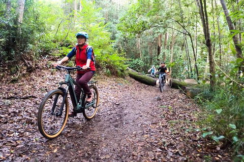 Guided E Bike Tour - Unicorn Falls & National Park - Tourism Noosa 9