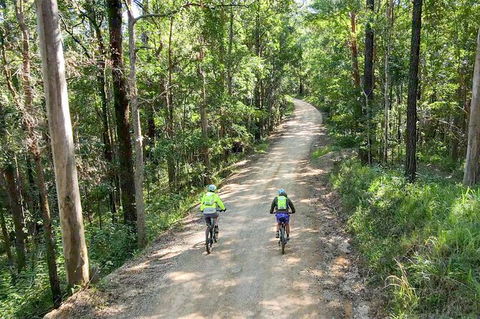 Guided E Bike Tour - Unicorn Falls & National Park - Tourism Noosa 7