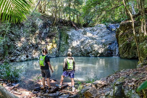 Guided E Bike Tour - Unicorn Falls & National Park - Tourism Noosa 2