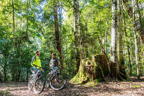 Guided E Bike Tour - Unicorn Falls & National Park - Tourism Noosa 14