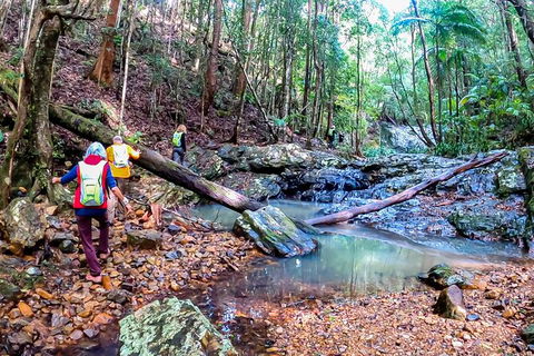 Guided E Bike Tour - Unicorn Falls & National Park - Tourism Noosa 17