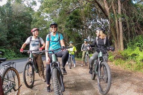 Guided E Bike Tour - Unicorn Falls & National Park - Tourism Noosa 11