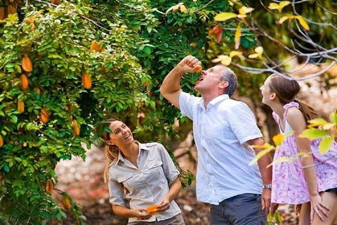 Full-Day Guided Tour Byron Bay With Pickup - Tourism Noosa 1