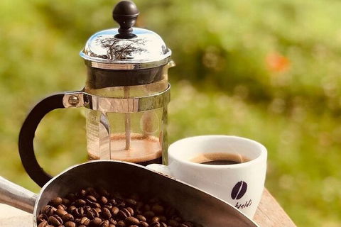 Coffee Farm Tour And Workshop, Byron Bay Hinterland - Tourism Noosa 0