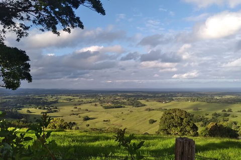 Coffee Farm Tour And Workshop, Byron Bay Hinterland - Tourism Noosa 4