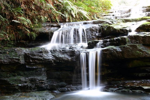 Private 10-hour Tour To Blue Mountains From Sydney - Hotel Pick Up & Drop Off - Tourism Noosa 6