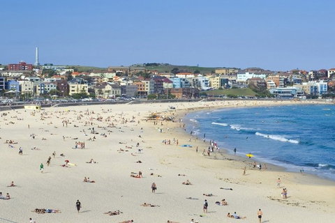 Sydney With Bondi And Beaches Essentials Private Day Tour - Tourism Noosa 2