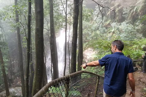 Blue Mountains Highlights, Wildlife Park And Scenic World Full Day Private Tour - Tourism Noosa 6