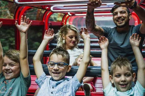 Blue Mountains Highlights, Wildlife Park And Scenic World Full Day Private Tour - Tourism Noosa 5