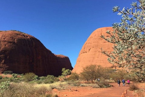 5-Hour Kata Tjuta Sunrise Tour From Ayers Rock With Breakfast - Tourism Noosa 2