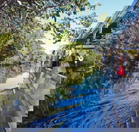 Serenity Cruise to Australia's Everglades - Tourism Noosa