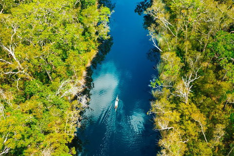 Cruise \'n\' Canoe To Australia\'s Everglades - Tourism Noosa 1