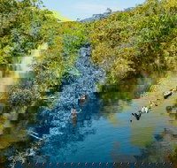 Cruise 'n' Canoe to Australia's Everglades - Tourism Noosa