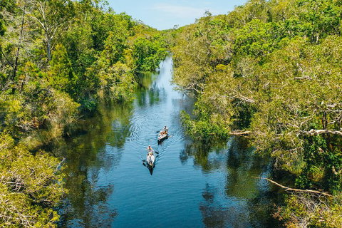 Cruise \'n\' Canoe To Australia\'s Everglades - Tourism Noosa 0