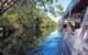 Cruise \'n\' Canoe To Australia\'s Everglades - thumb 6