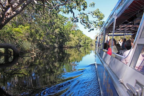 Cruise \'n\' Canoe To Australia\'s Everglades - Tourism Noosa 6