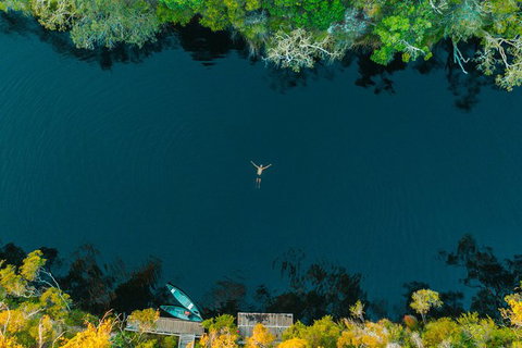 Cruise \'n\' Canoe To Australia\'s Everglades - Tourism Noosa 7