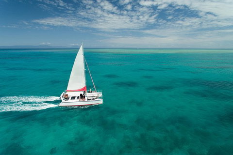 Full-Day Great Barrier Reef Sailing Trip - Tourism Noosa 0