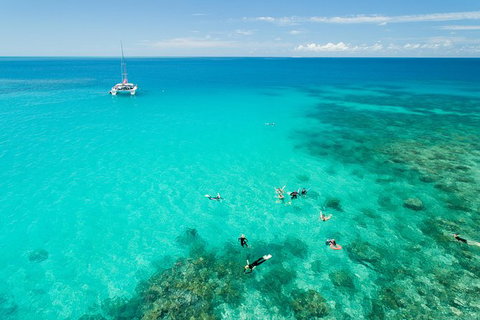 Full-Day Great Barrier Reef Sailing Trip - Tourism Noosa 5