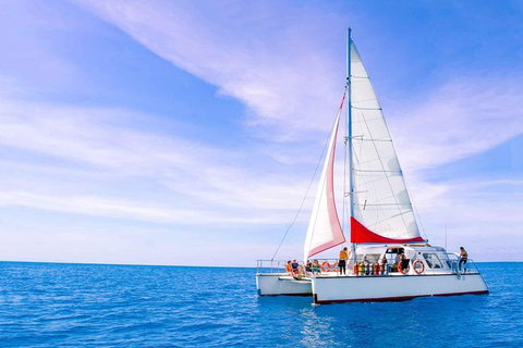 Full-Day Great Barrier Reef Sailing Trip - Tourism Noosa 1