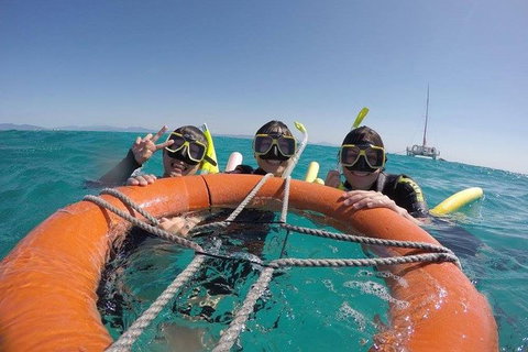 Full-Day Great Barrier Reef Sailing Trip - Tourism Noosa 3