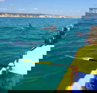 Kayak with Dolphins and 4WD Great Beach Drive Day Trip from Noosa - Tourism Noosa