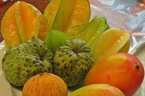 Cairns National Park Rainforest And Waterfall Small Group Tour Shore Excursion - Tourism Noosa 2