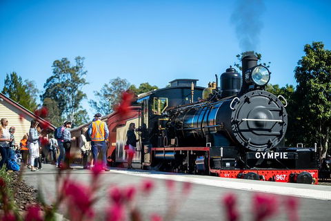 Mary Valley Rattler - Tourism Noosa 5
