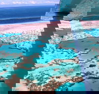 8-Day Cairns Tour Great Barrier Reef Kuranda Daintree Rainforest - Tourism Noosa