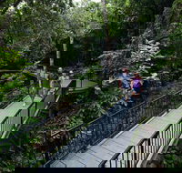 4-Day Cairns with Great Barrier Reef and Daintree Rainforest - Tourism Noosa