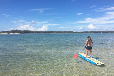Early Morning Weekend Paddleboard Special - Tourism Noosa 4
