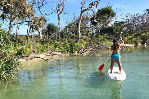 Early Morning Weekend Paddleboard Special - Tourism Noosa 5