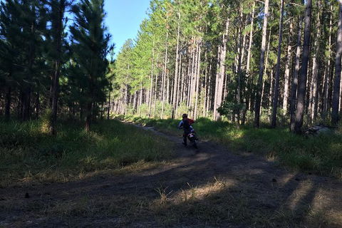 One Day Guided Dirt Bike Tour In The Magnificent Glasshouse Mountains Forests. - Tourism Noosa 7