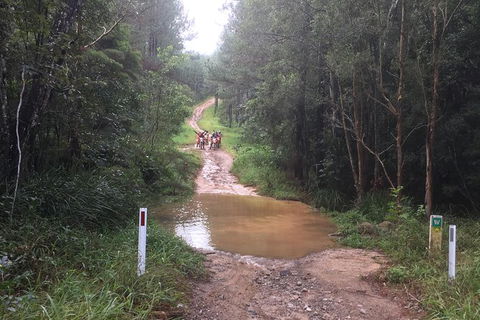 One Day Guided Dirt Bike Tour In The Magnificent Glasshouse Mountains Forests. - Tourism Noosa 3