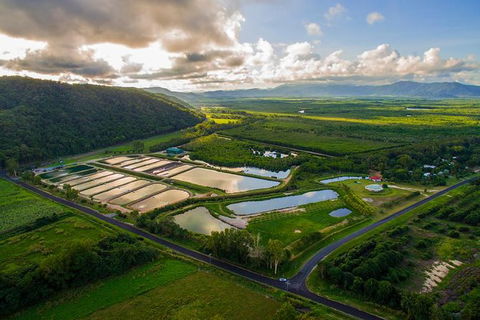 Hook A Barra Fishing Experience - Tourism Noosa 2